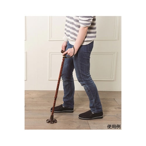 AAA042 たっちゃんラージ18ミリ茶