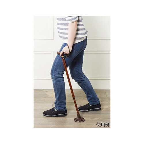 AAA042 たっちゃんラージ18ミリ茶