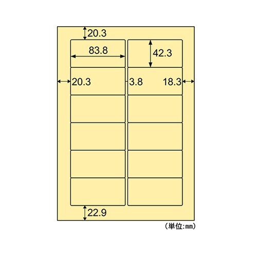 色上質タック 12面(クリーム)1セット