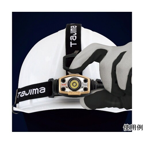 LEE501DSP ヘッドライトセット