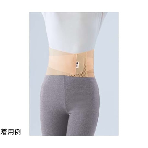 Dタ0563 テーピング腰ベルト L寸