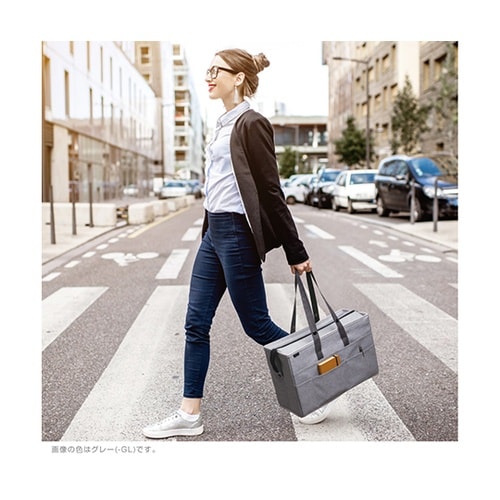 UT−1091−GL キャビネットバッグ