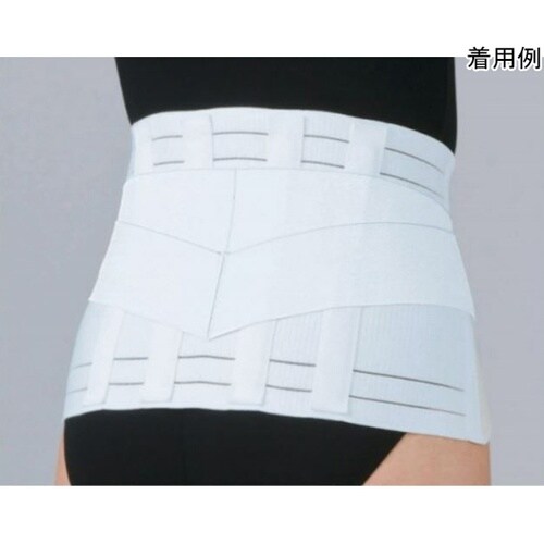 321504 腰部固定帯 R3 LL