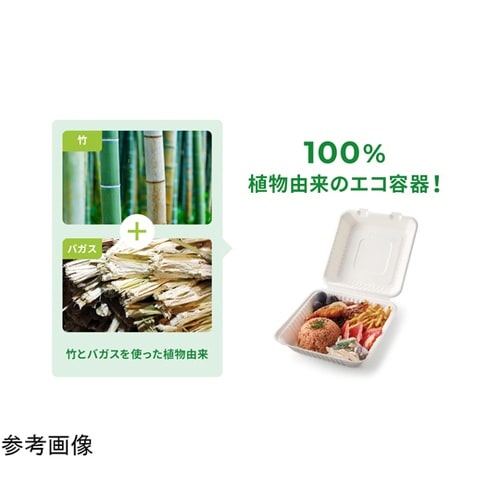 ABバガスランチ230−230−3フード