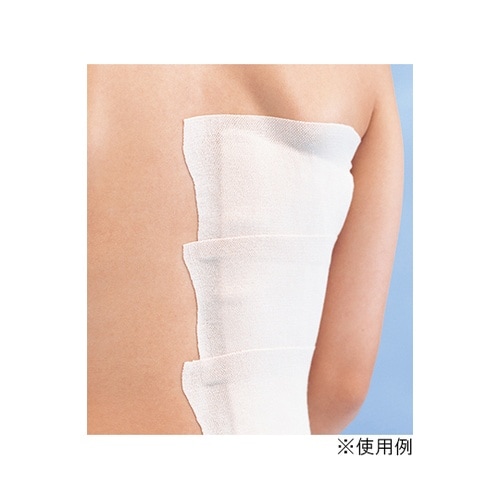 15331 エラテックス・S3 入数12