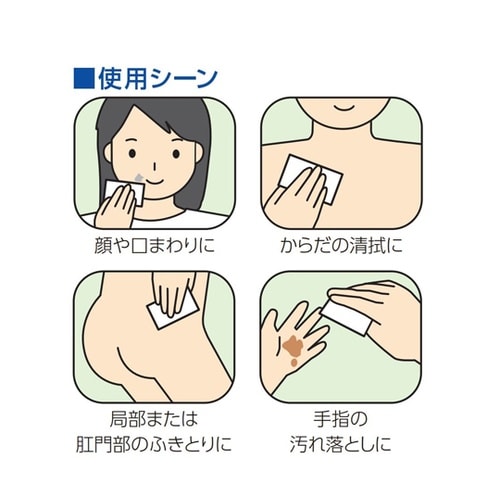 スキンフレッシュ 100包 000951