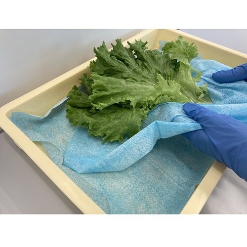 ワイプオール X50 フードエリア ブル