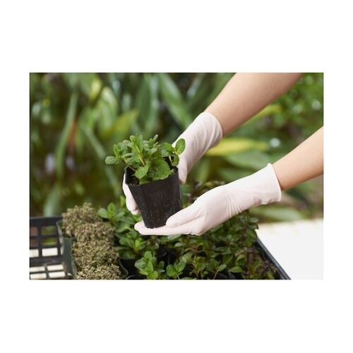 天然ゴム使い捨て手袋 ナイスハンドきれい