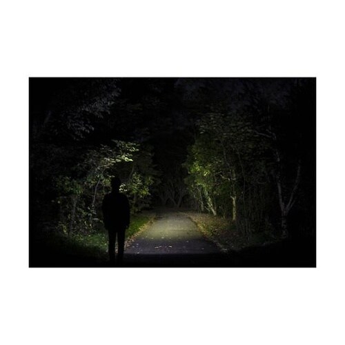 LEDヘッドライト ドラグフォース 23