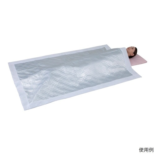 ディスポ布団 DSPF 10枚入