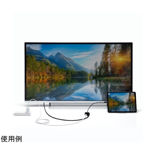 USB Type C−HDMI変換アダプ