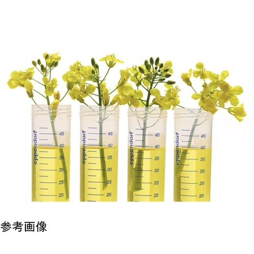 エッペンドルフチューブ BioBased