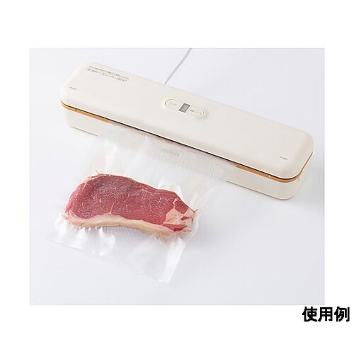 AC100V/110W 密封パック器 E