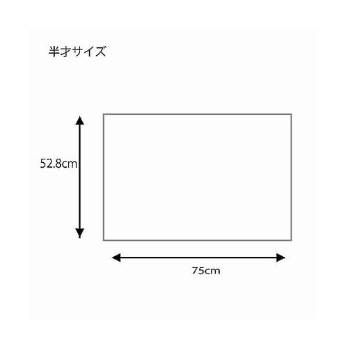 002403900 ギフト包装紙 半才