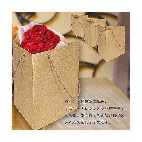 006443101 紙袋 トライバッグ