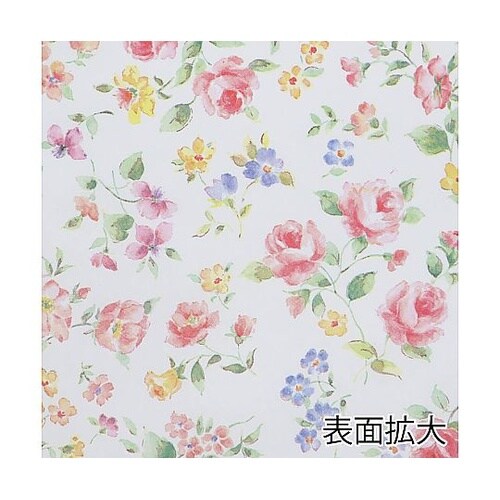 006523108 紙袋 平袋 Rタイプ