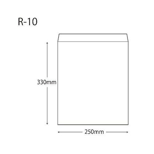 006523108 紙袋 平袋 Rタイプ