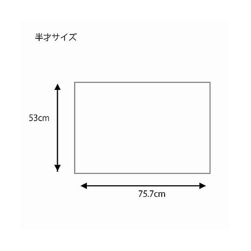 002302800 包装紙 半才
