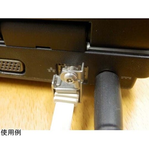 LANケーブルロック(特殊ねじ鍵型) L