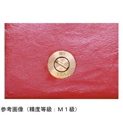 M2RW20KG M2級 鋳鉄製枕型分銅