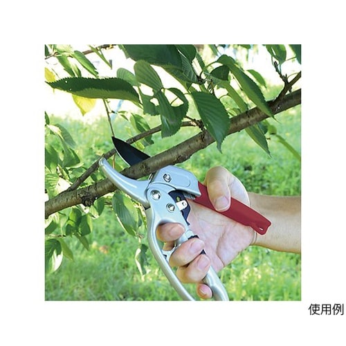 2010441 TAKAGI 剪定鋏