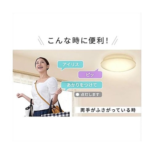 φ450x140mm シーリングライト(