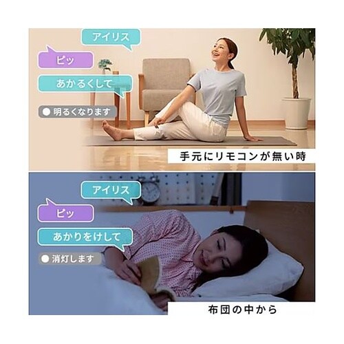 φ530x153mm シーリングライト(