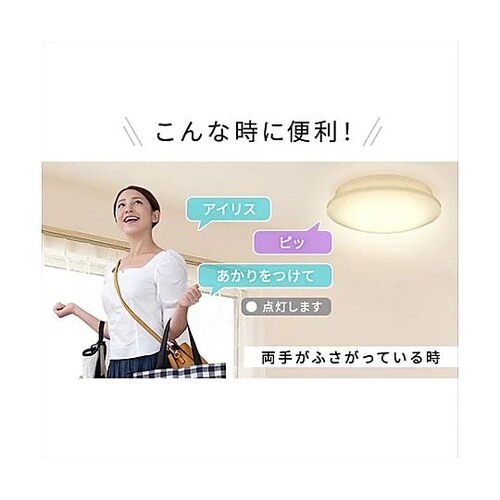 φ530x153mm シーリングライト(