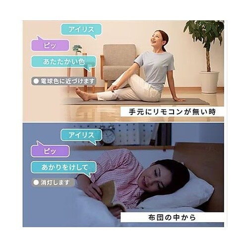 φ530x153mm シーリングライト(