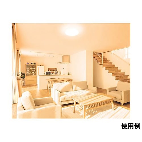 φ530x153mm シーリングライト(