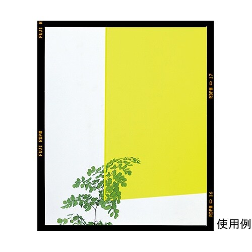 A651−2M アクリル 545×650