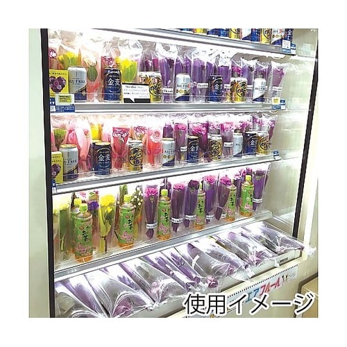 エアフルール ボトルサイズS 100枚入