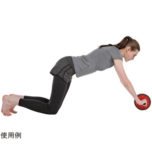 エクササイズローラー ダブル UR−08