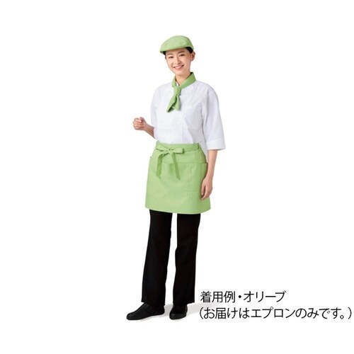 APK492−S33フリーサロンエプロン