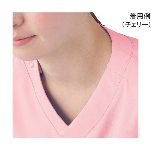 スクラブ兼用 ウィステリア M MS00