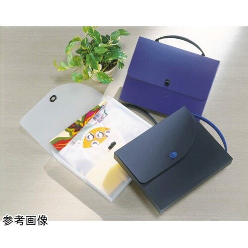 デザインケース DS−253(T)