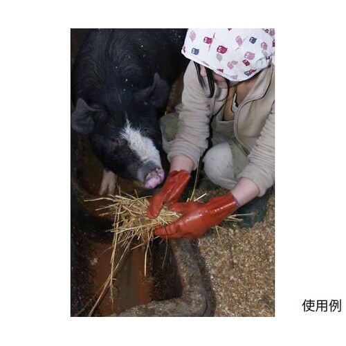 610 ニュービニローブ L 30パック