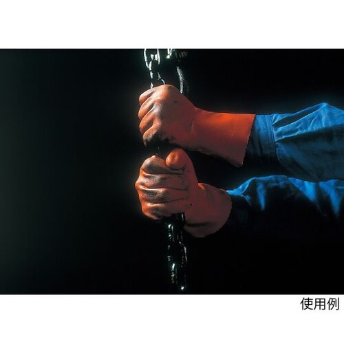 610 ニュービニローブ LL 60双