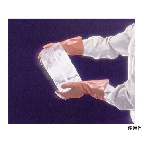 620 ニューロング LL 60双