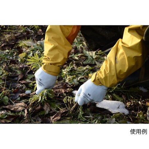 260−3P ピッタリ背抜M3双×40袋