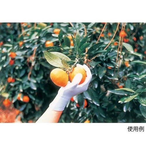 265 ピッタリ背抜強力ロングM120双