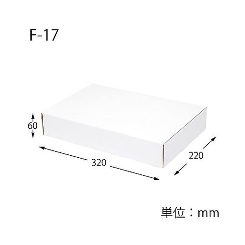フリーボックス F−17 白無地 10枚
