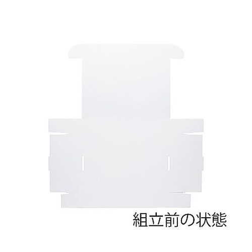 フリーボックス F−17 白無地 10枚