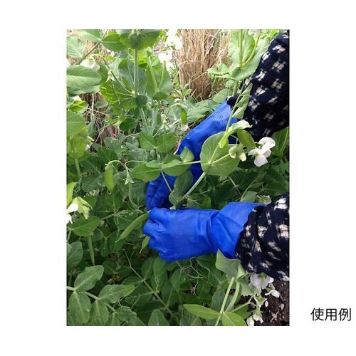 181 ブルーフィット L 240双