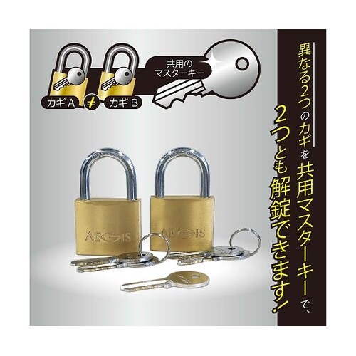 マスターキー付き南京錠 1セット(2個入