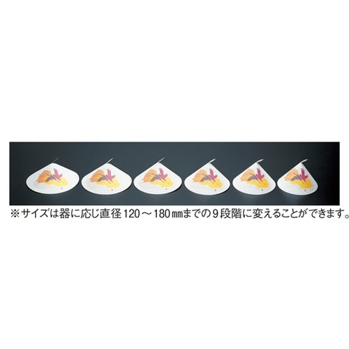 遠赤抗菌和紙 料理ぼうし四季(100枚入