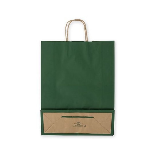 003201405 手提げ紙袋グリーンC