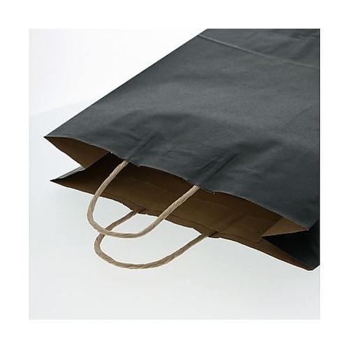 003201411 手提げ紙袋未晒黒C