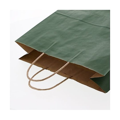 003251205 手提げ紙袋グリーンC