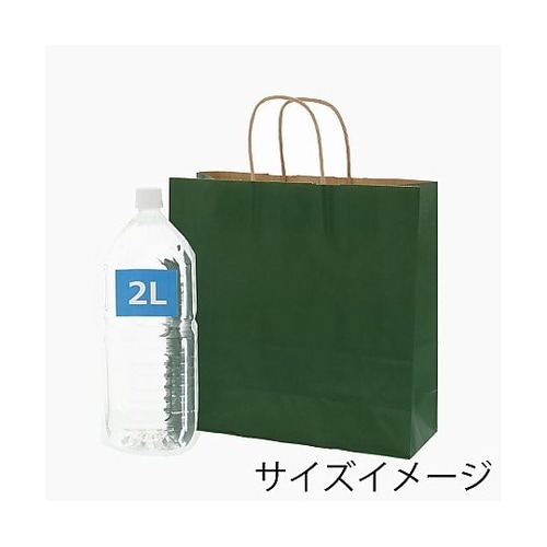 003251205 手提げ紙袋グリーンC